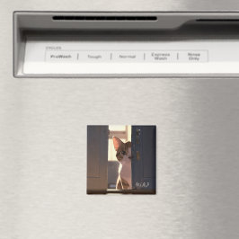 imán de refrigerador para gato