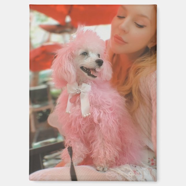 Imán de regalo de caniche rosa, imán de caniche ro (Anverso)