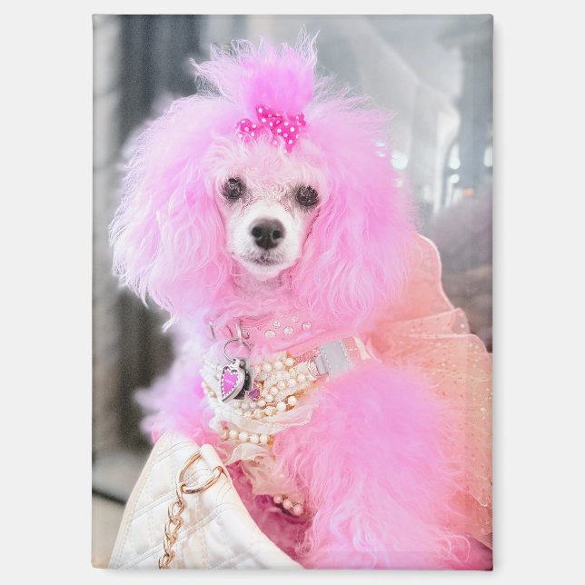 Imán de regalo de caniche rosa, imán de caniche ro (Anverso)
