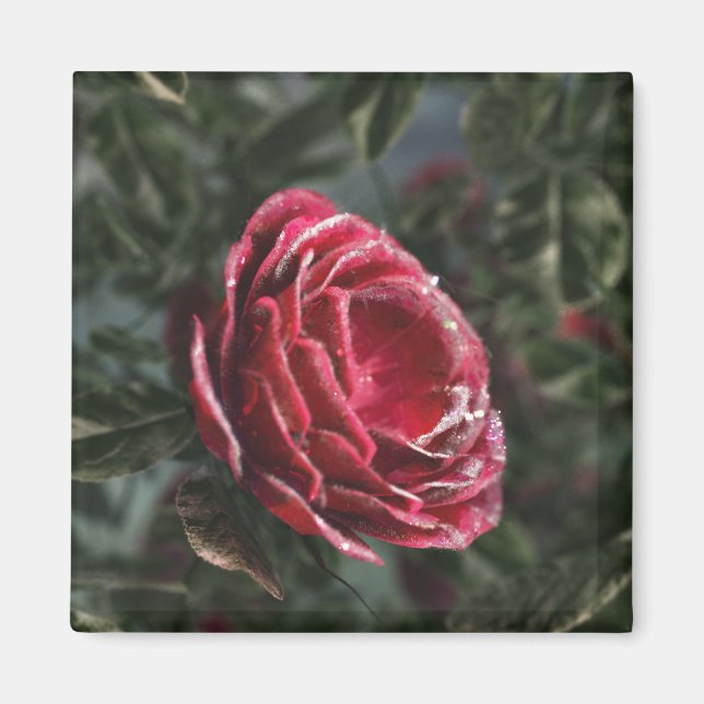 Imán de regalo de despedida de invierno (Frente)