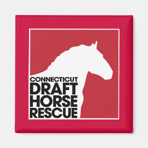 Imán de rescate de caballos de Connecticut Draft