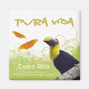 Imán de Rican Pura Vida de la costa