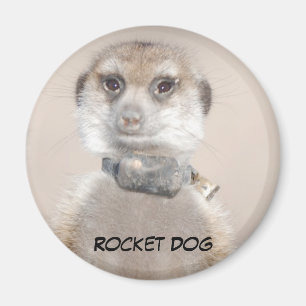 Imán de Rocket Dog