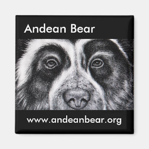 Imán de Rogelio Manrique