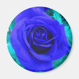Imán de Rosa azul de zafiro