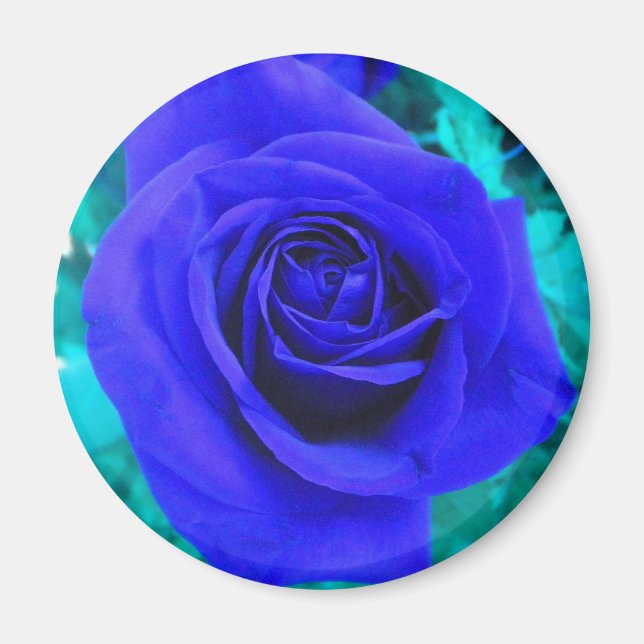Imán de Rosa azul de zafiro (Frente)