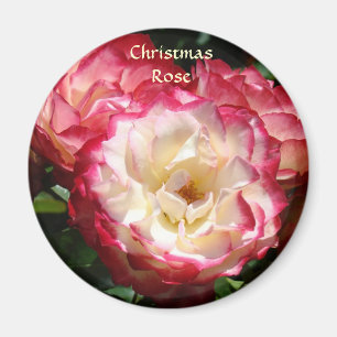 IMÁN DE ROSA DE NAVIDAD Rosas rosadas blancas Iman
