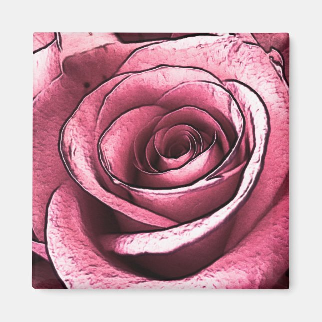 Imán de rosa rosa (Frente)