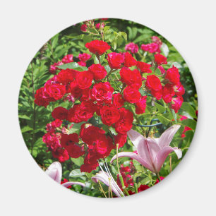 Imán de rosas rojas