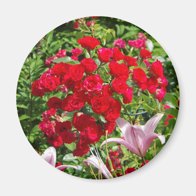 Imán de rosas rojas (Frente)