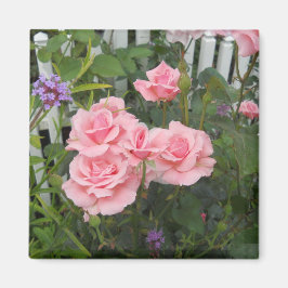 Imán de rosas rosadas