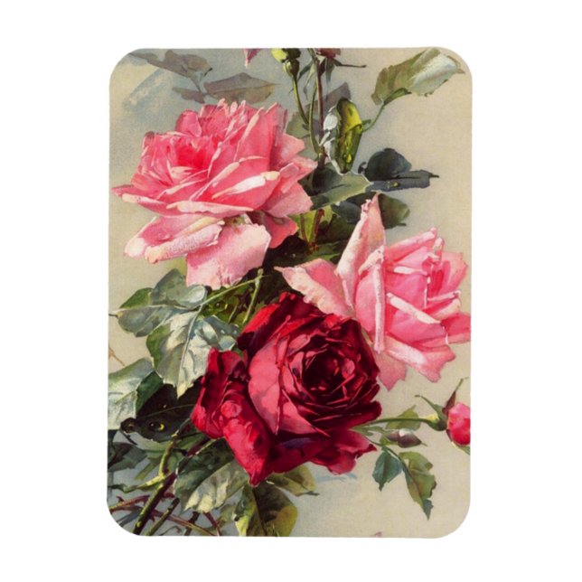 Imán de rosas rosadas y rojas de vintage (Vertical)