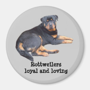 Imán de Rottweiler