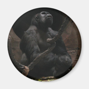 Imán de /Round del gorila