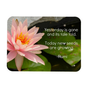 Imán de Rumi con la flor de Lotus rosada