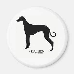 Imán de Saluki