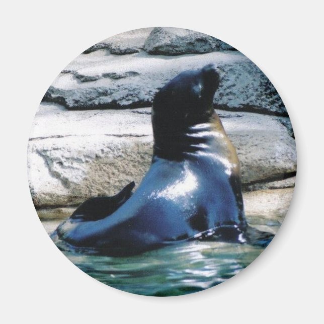 imán de sellado (Frente)