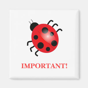 Imán de señora Bug el