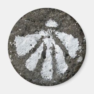 Imán de Shell de concha de peregrino