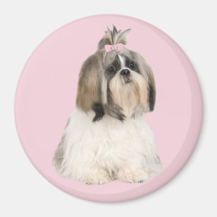 Imán de Shih Tzu