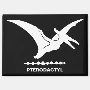 Imán de silueta de dinosaurio pterodáctilo