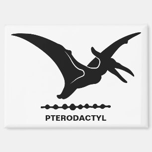 Imán de silueta de dinosaurio Pterodáctilo
