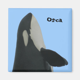 Imán de Spyhop de la orca