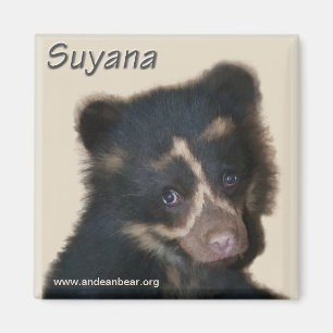 Imán de Suyana