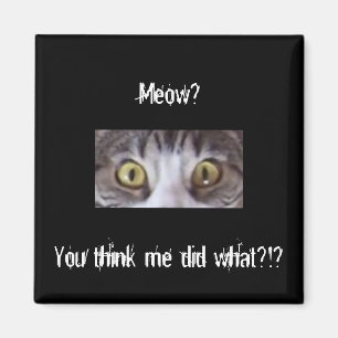 Imán De Tabby del gato ojos de par en par