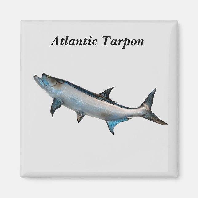 imán de Tarpon atlántico (Frente)