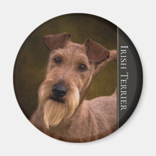 Imán de Terrier irlandés