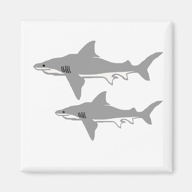 Imán de tiburón toro (Frente)