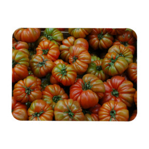 Imán de tomates