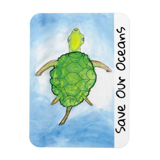 imán de tortuga