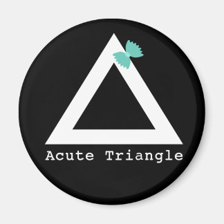 Imán de triángulo agudo