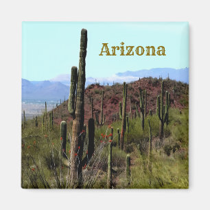 Imán de Tucson Arizona