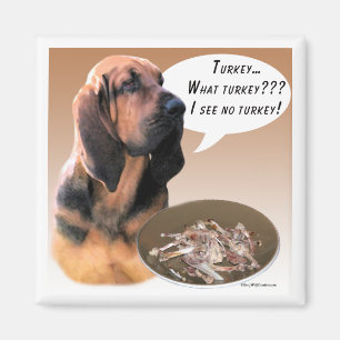 Imán de Turquía sangriento