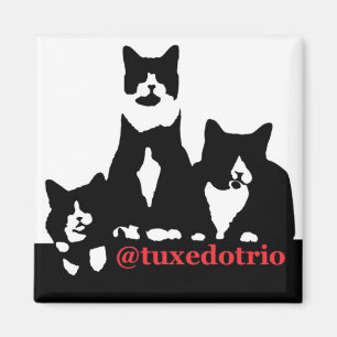 Imán de TuxedoTrio