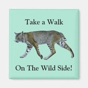 Imán Dé Un Paseo Por El Lado Salvaje Bobcat.