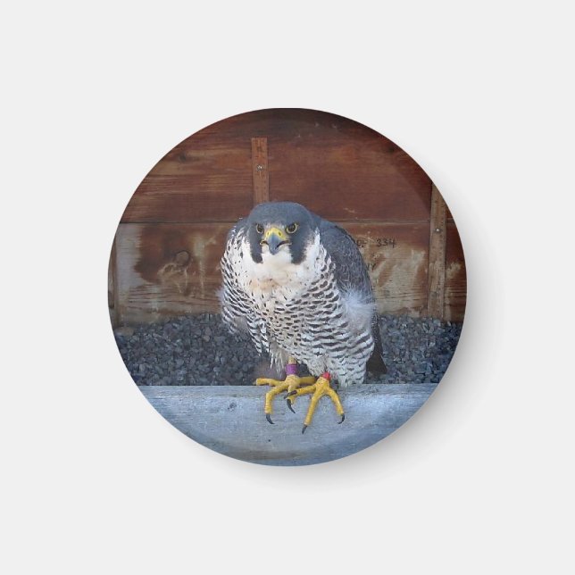 Imán de Unidad (Frente)