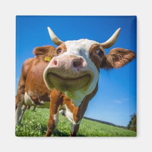 Imán de vaca sonriente