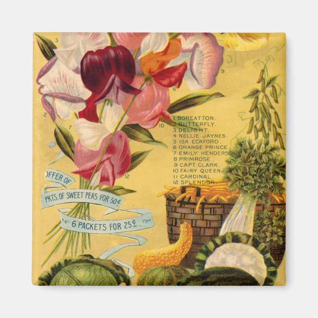 Imán de variedad de semillas (Frente)