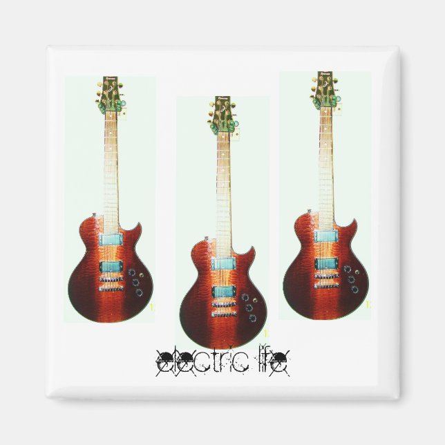 imán de vida eléctrico (Frente)