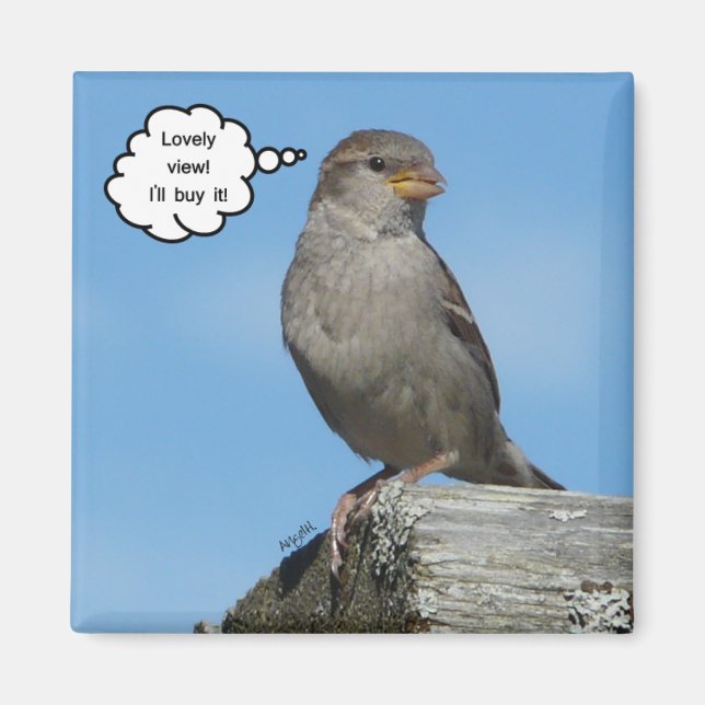 Imán de vista encantadora (Frente)