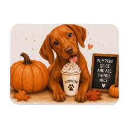 Imán de Vizsla con Especias de Calabaza