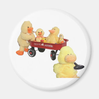 Imán de volador de patito