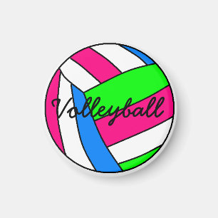 Imán de voleibol