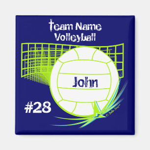 Imán de voleibol