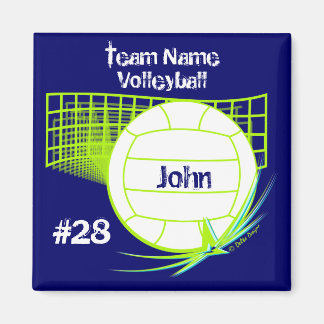 Imán de voleibol
