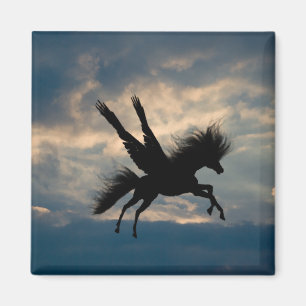 Imán de vuelo nocturno